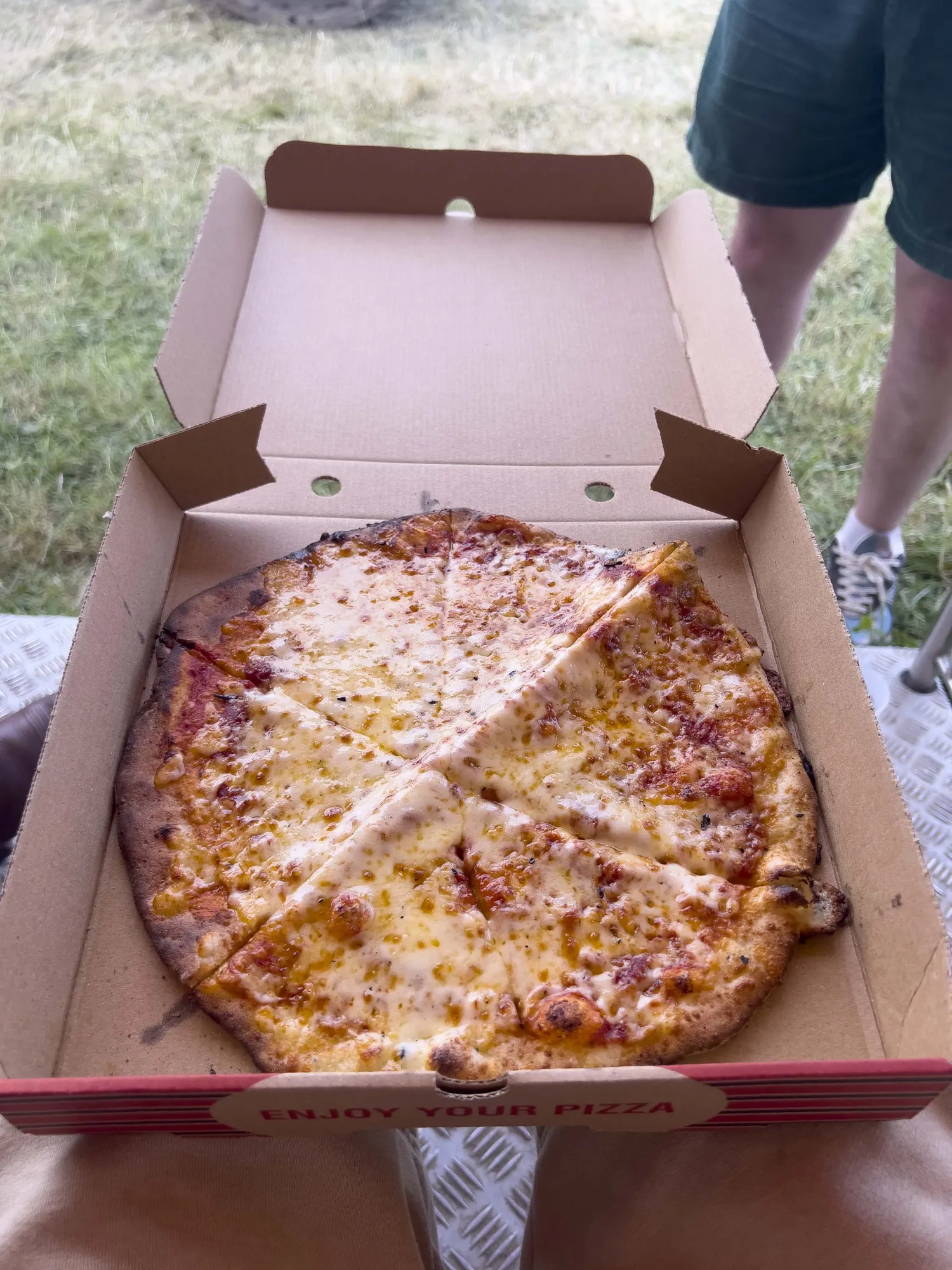A yummy cheese pizza