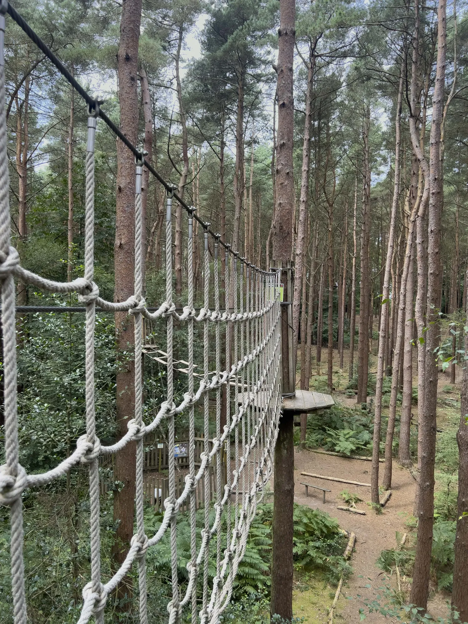 The rope walk