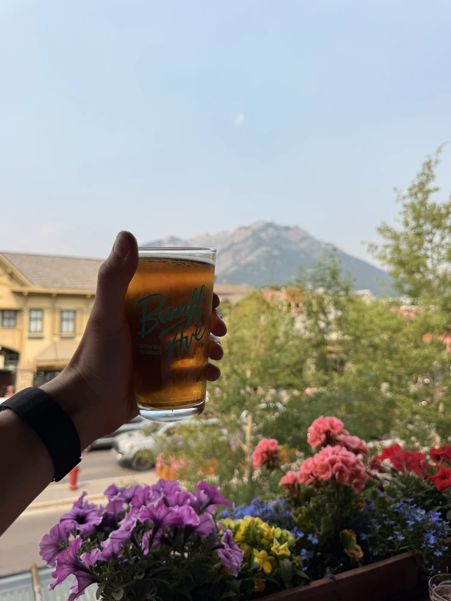 A pint of local beer held up against the flower boxes on Banff Avenue