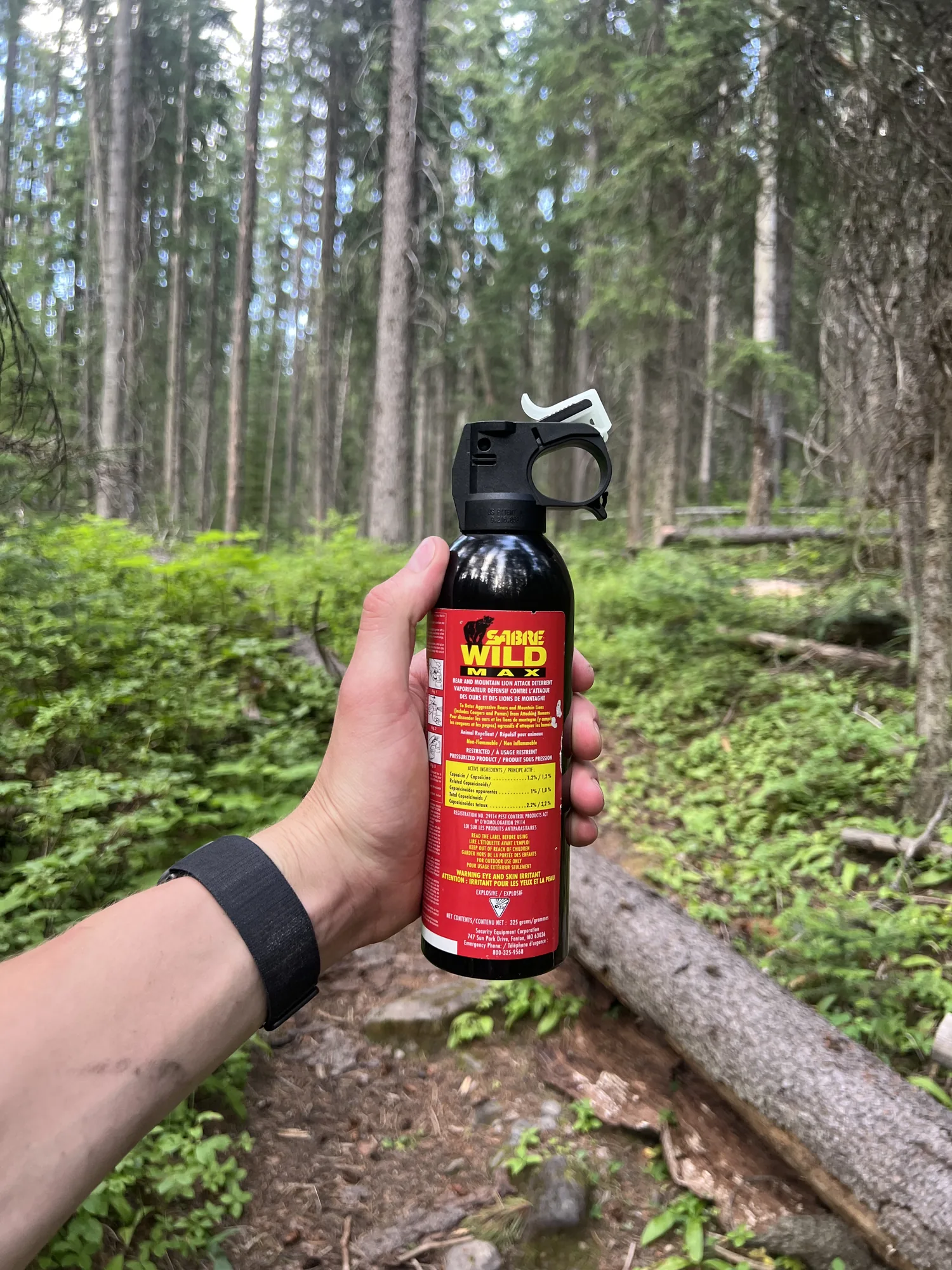 Holding up a can of bear spray in the forest at the Yoho campground