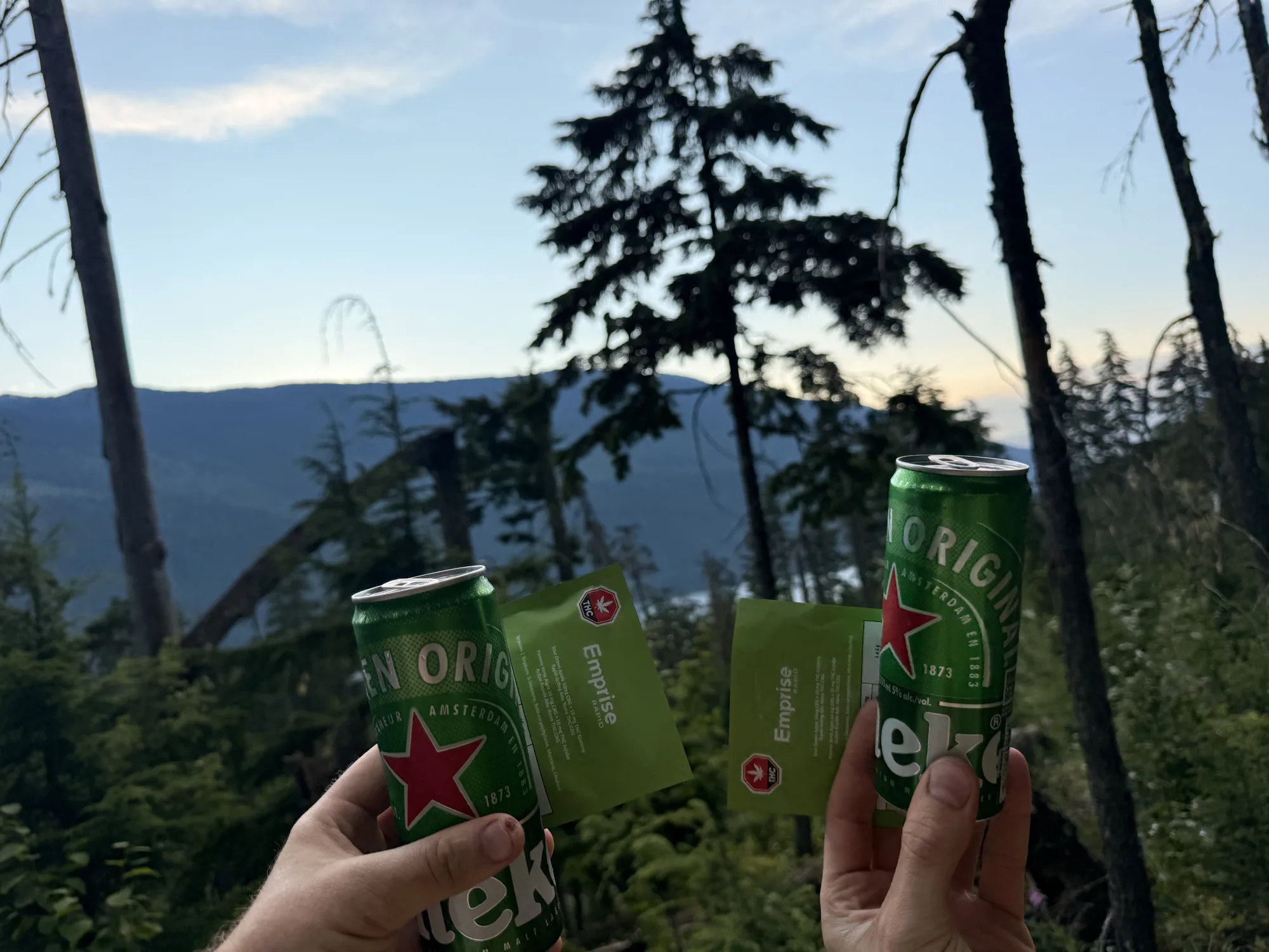 Cans raised against the treeline at sunset near Revelstoke