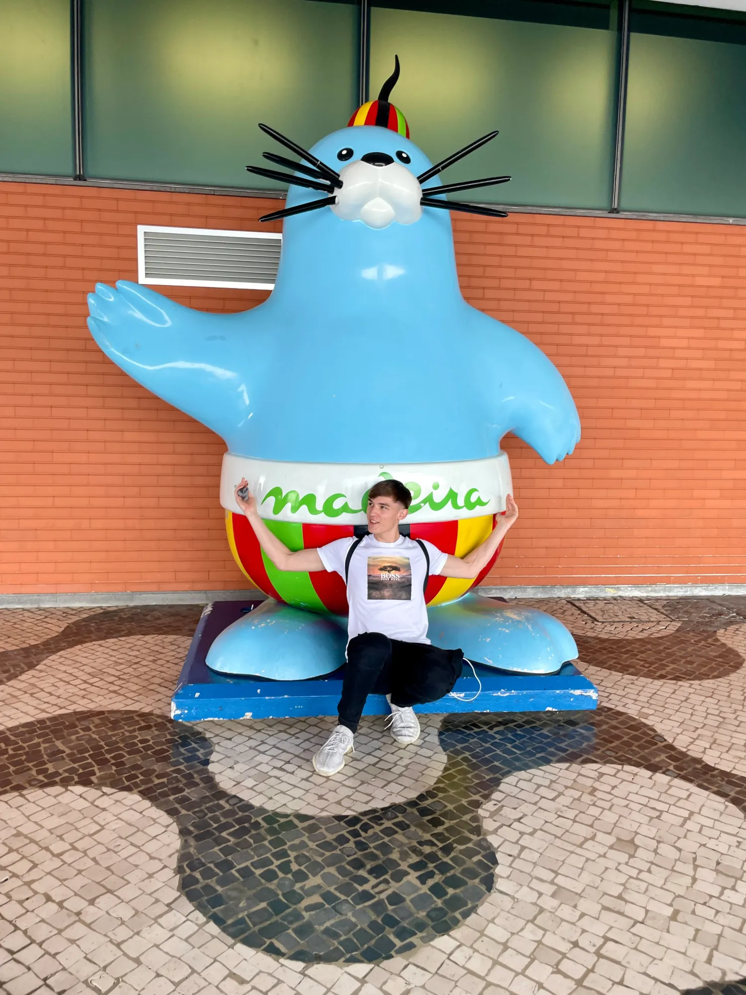 Penguin statue in Madeira