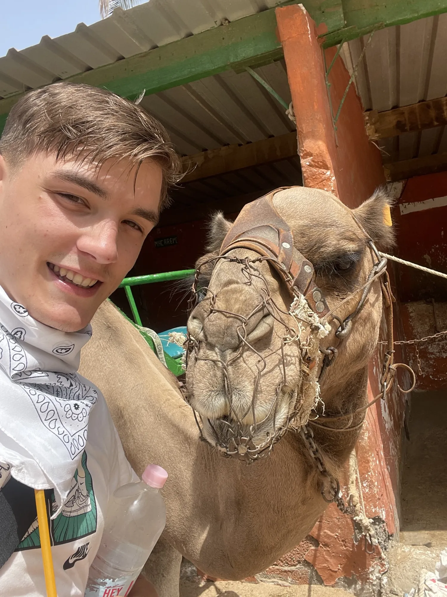 Selfie with a cammel!